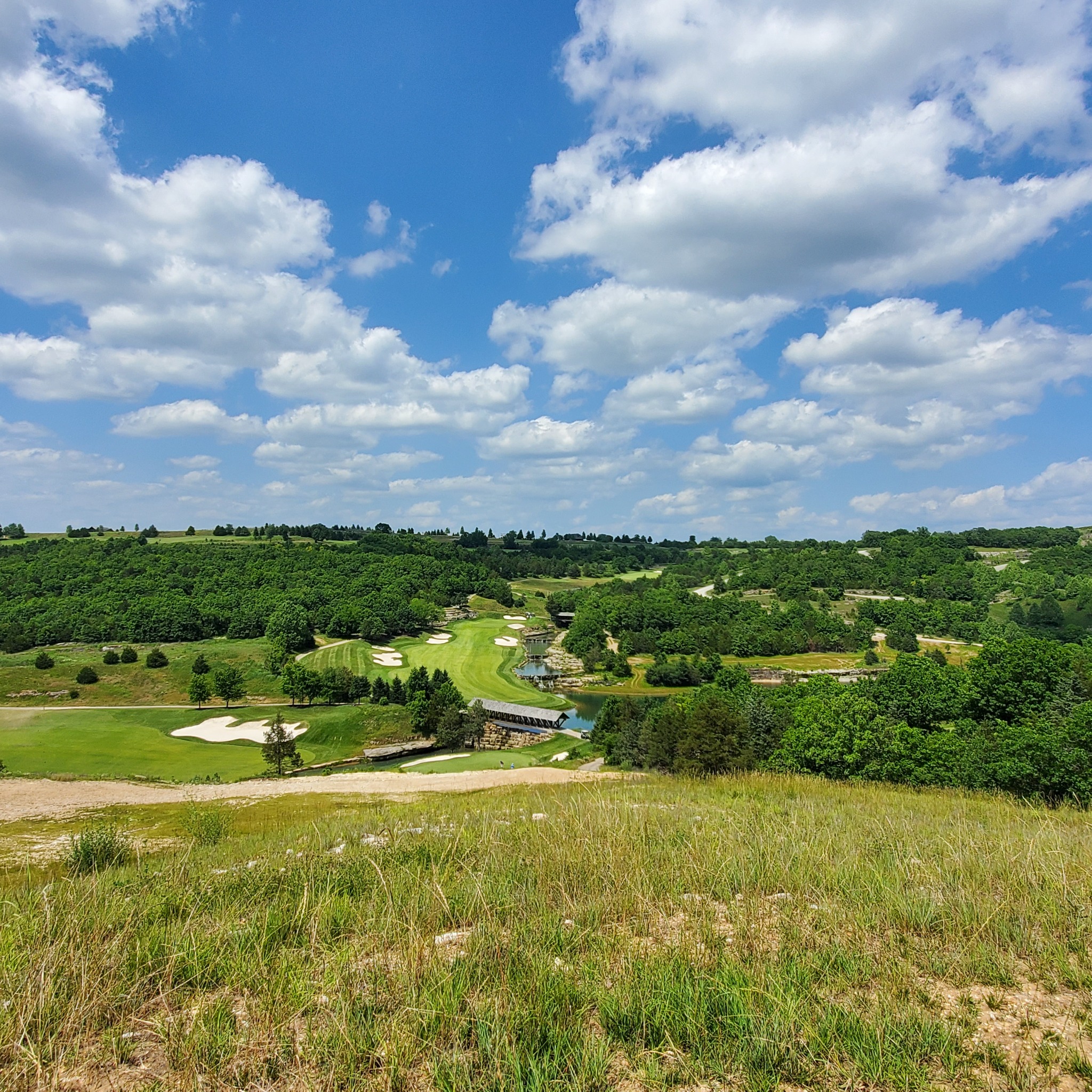 Big Cedar 2021 Royal Mix photo